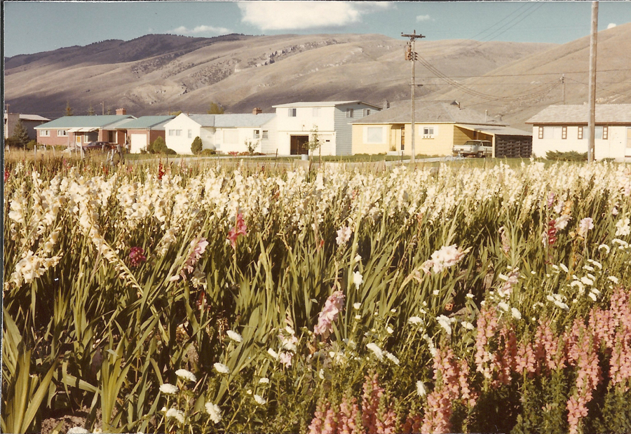 item thumbnail for Bear Lake County Collection | Click to go to collection