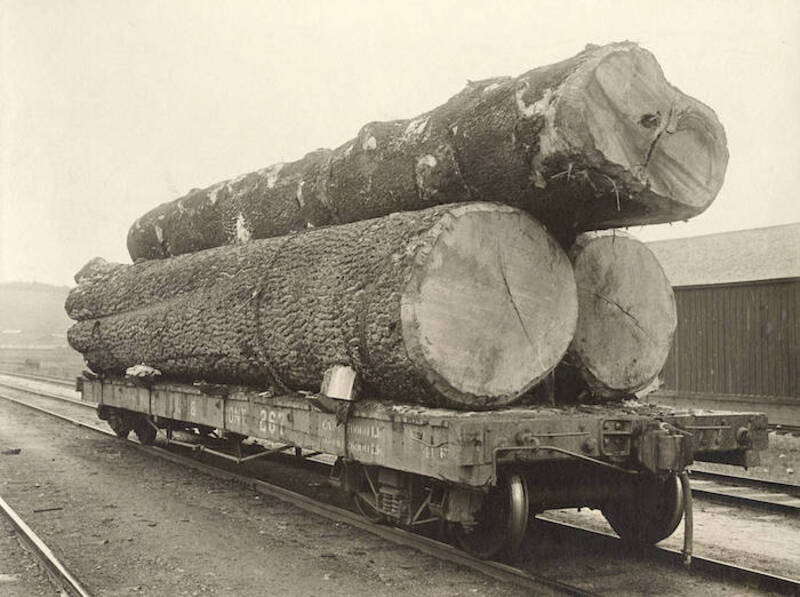 item thumbnail for Potlatch Lumber Company Photograph Collection | Click to go to collection
